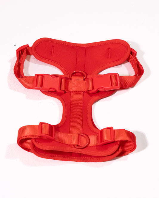 Berry Velvy Geschirr