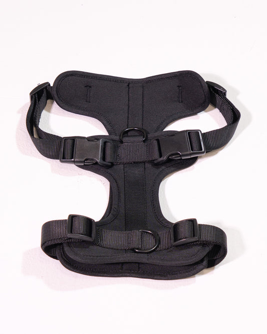 Midnight Velvy Geschirr