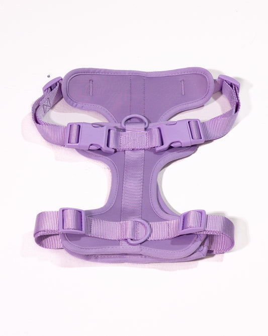 Lavendeltraum Velvy Geschirr