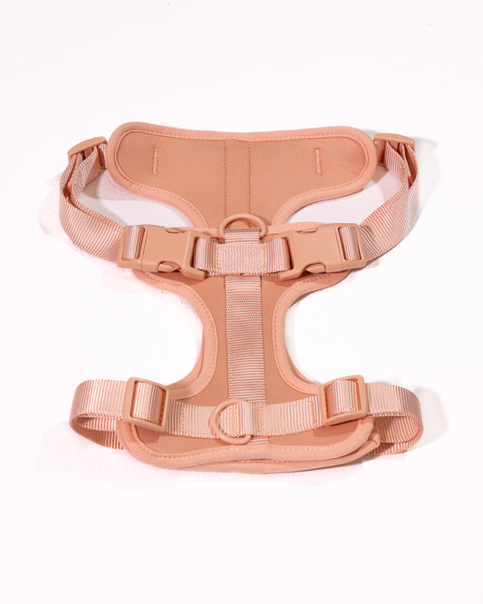 Pfirsich Velvy Geschirr