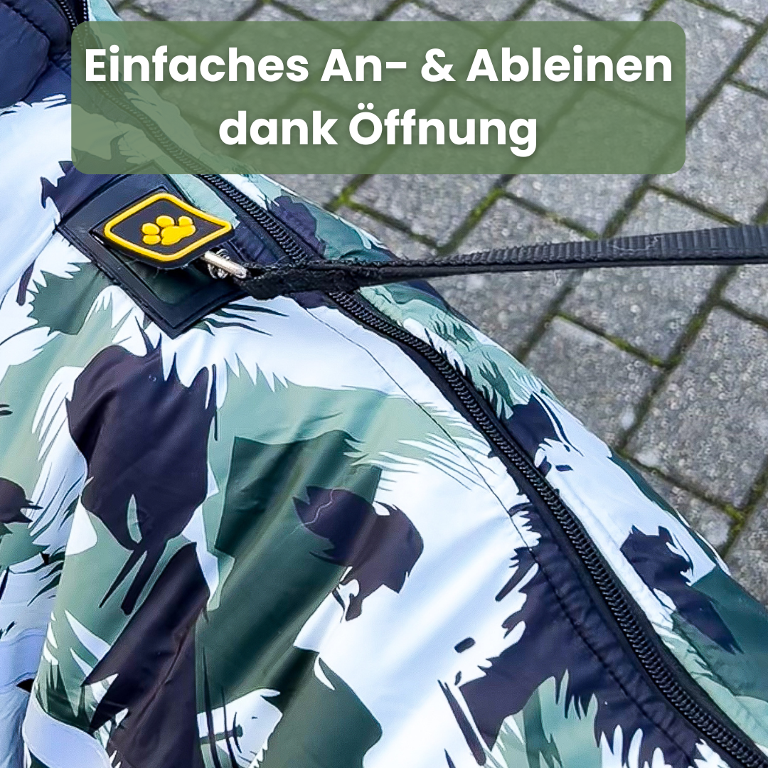 Black Friday Angebot