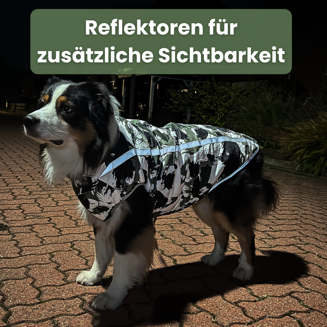 Black Friday Angebot