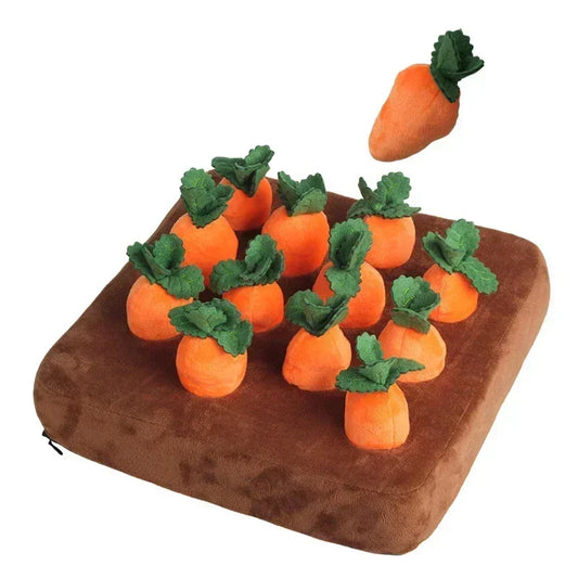 SniffCarrot - Karottenfeld