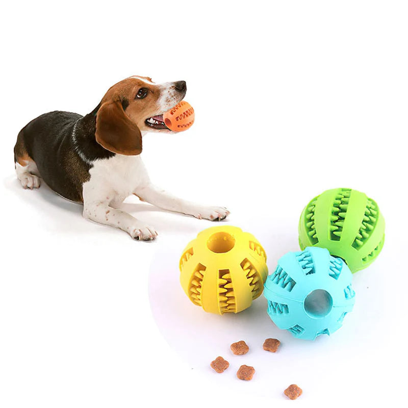 Toms - Hundeball