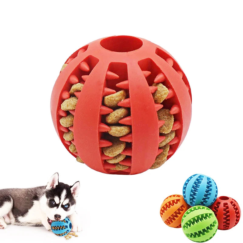 Toms - Hundeball