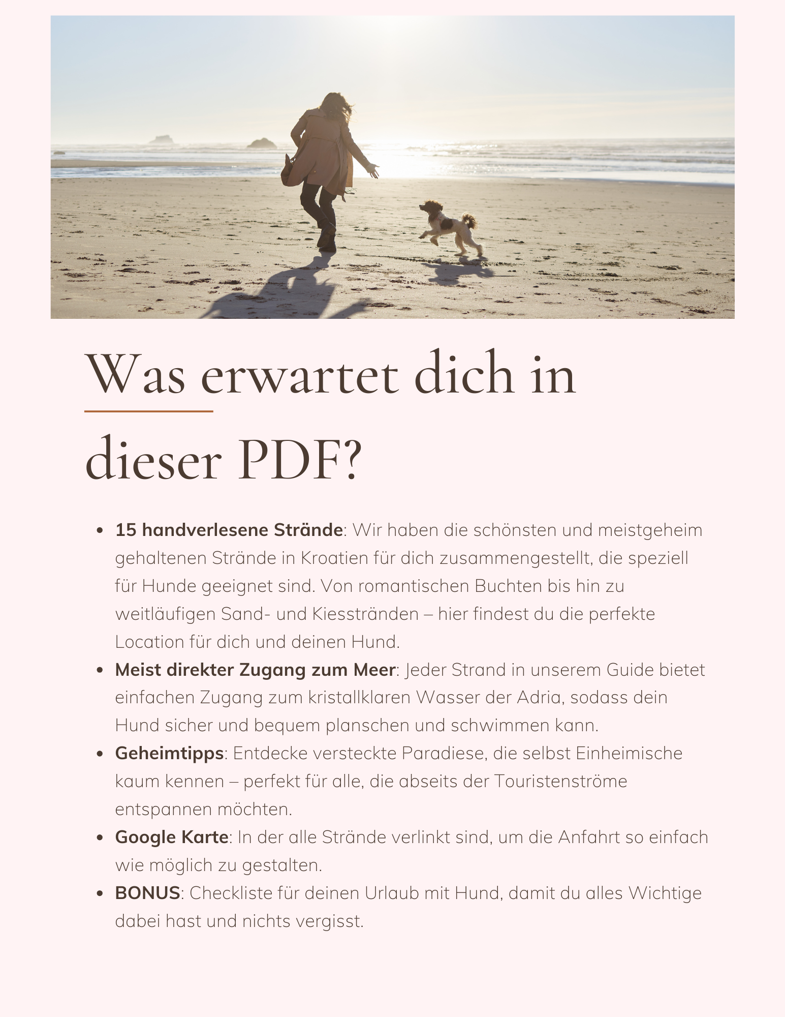 Kroatiens Versteckte Hundeoasen: Entdecke 15 geheime Strände für dich und deinen Hund