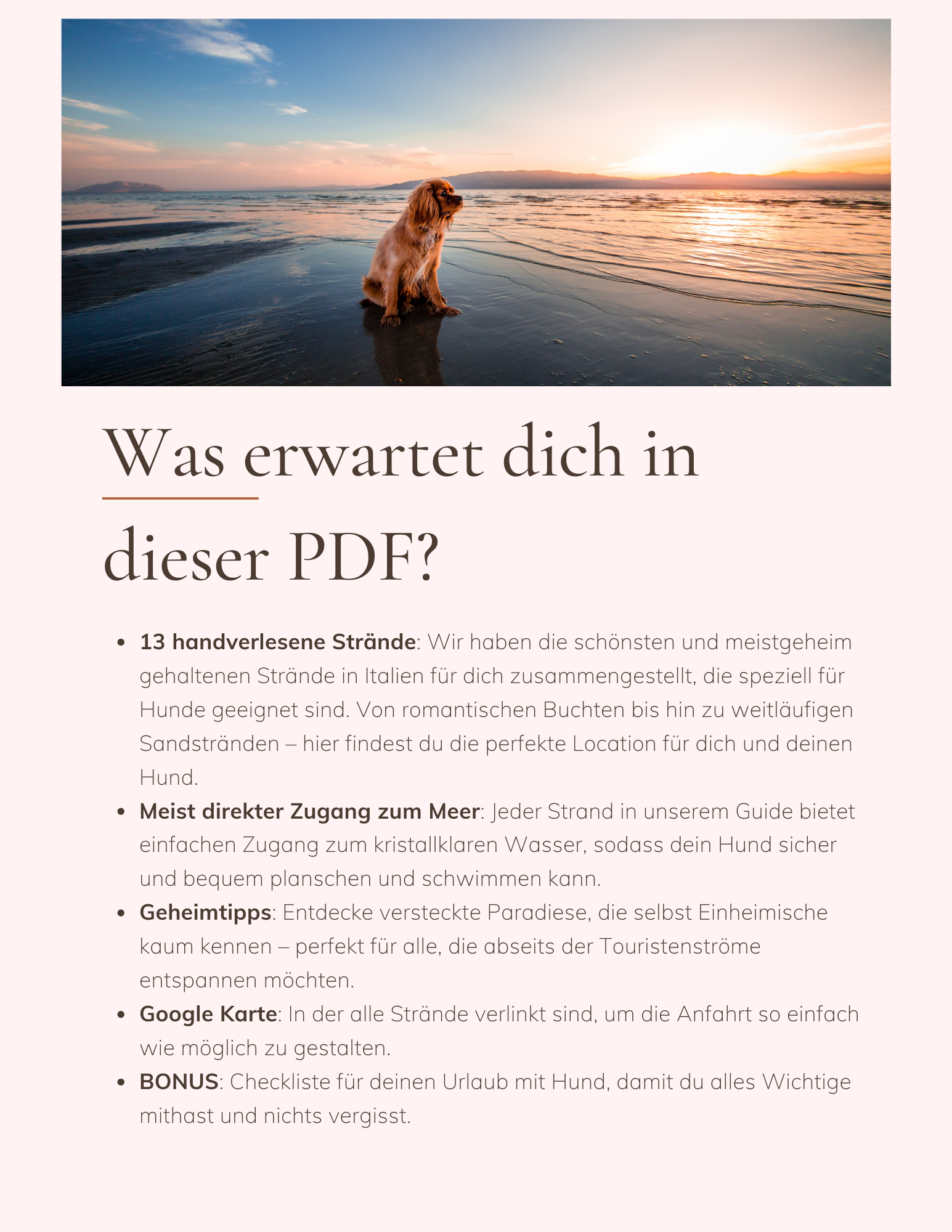 Italiens Versteckte Hundeoasen: Entdecke 13 geheime Strände für dich und deinen Hund