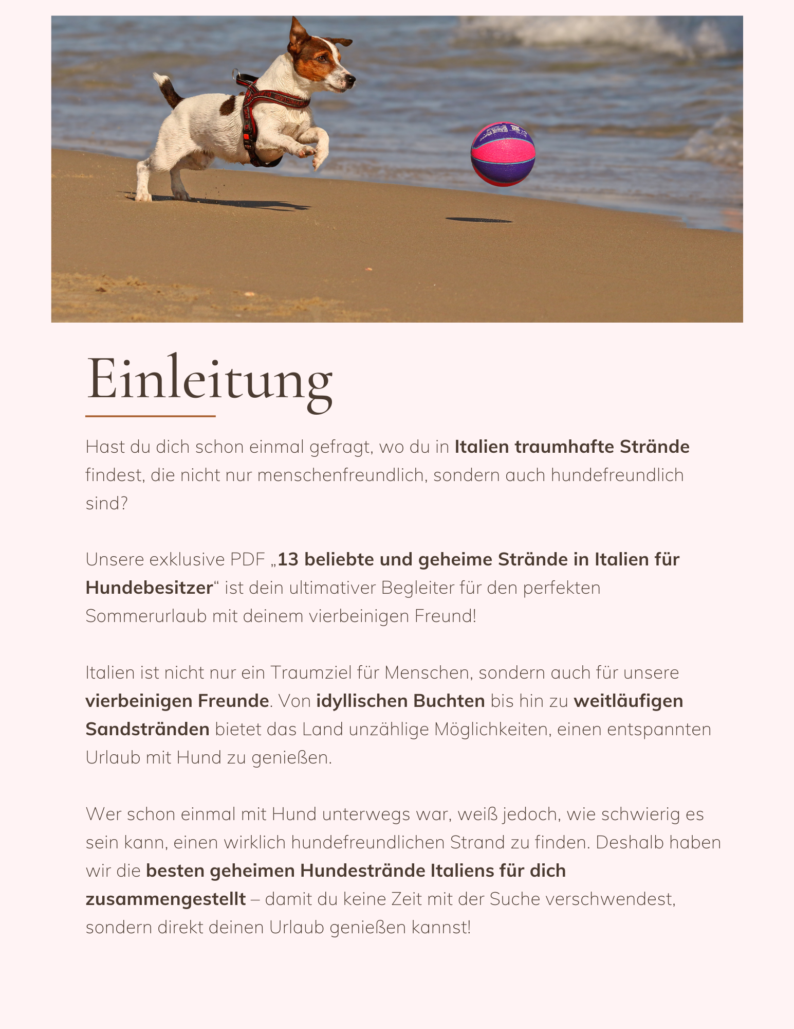 Italiens Versteckte Hundeoasen: Entdecke 13 geheime Strände für dich und deinen Hund