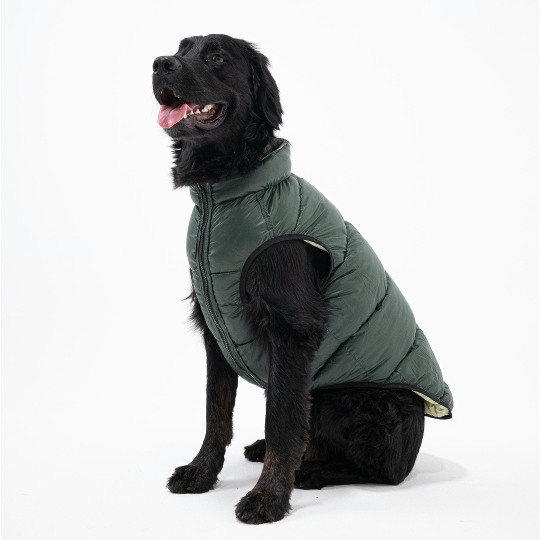 PocketFlip - Hundemantel