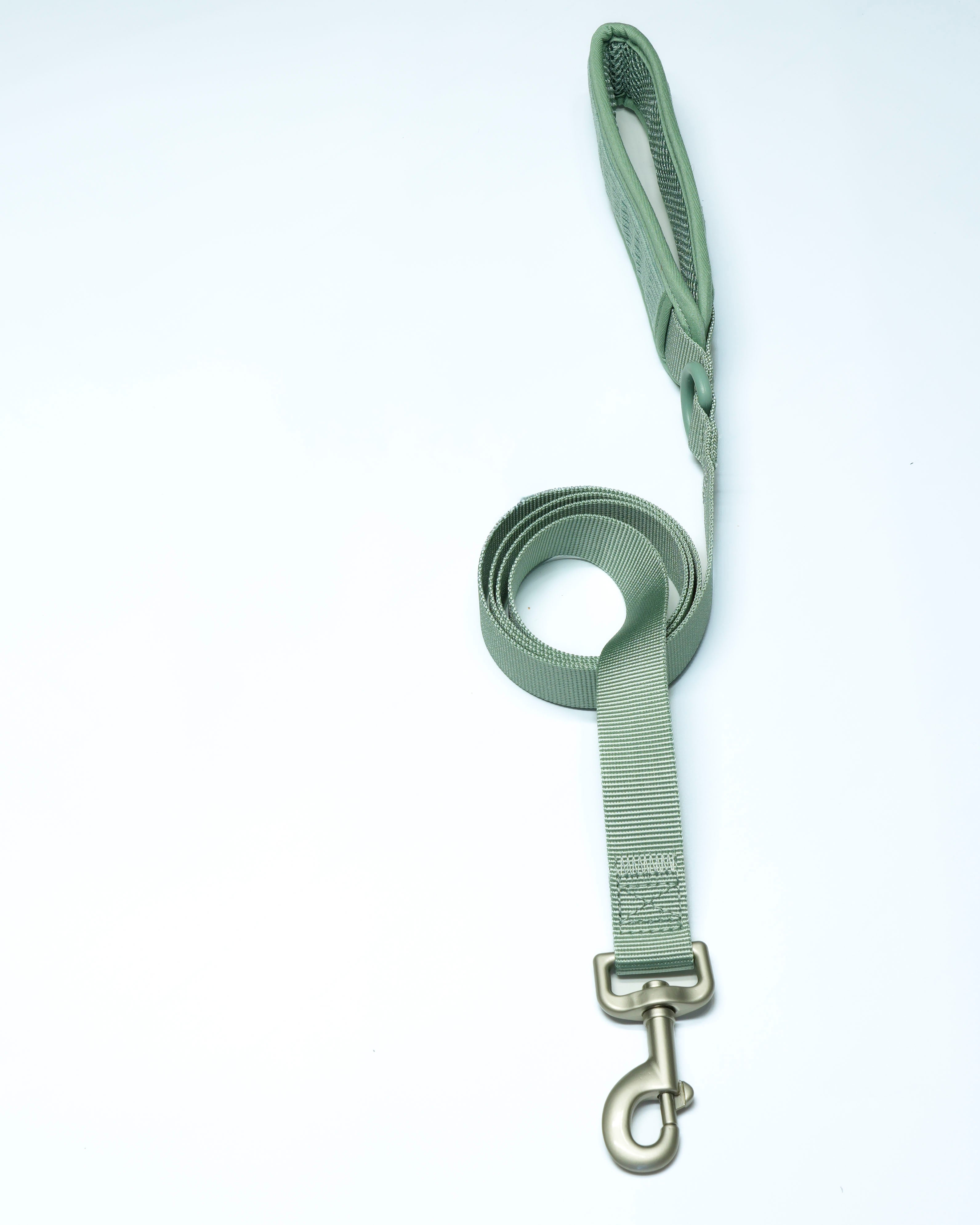 Matchgrün Cordélia Leine