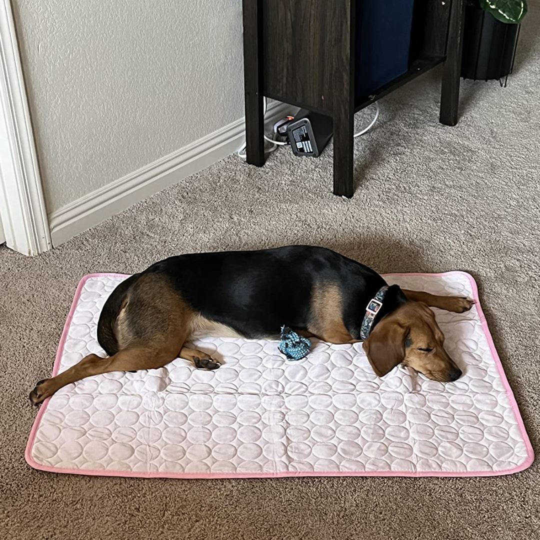 CoolingMat - Hundekühlmatte
