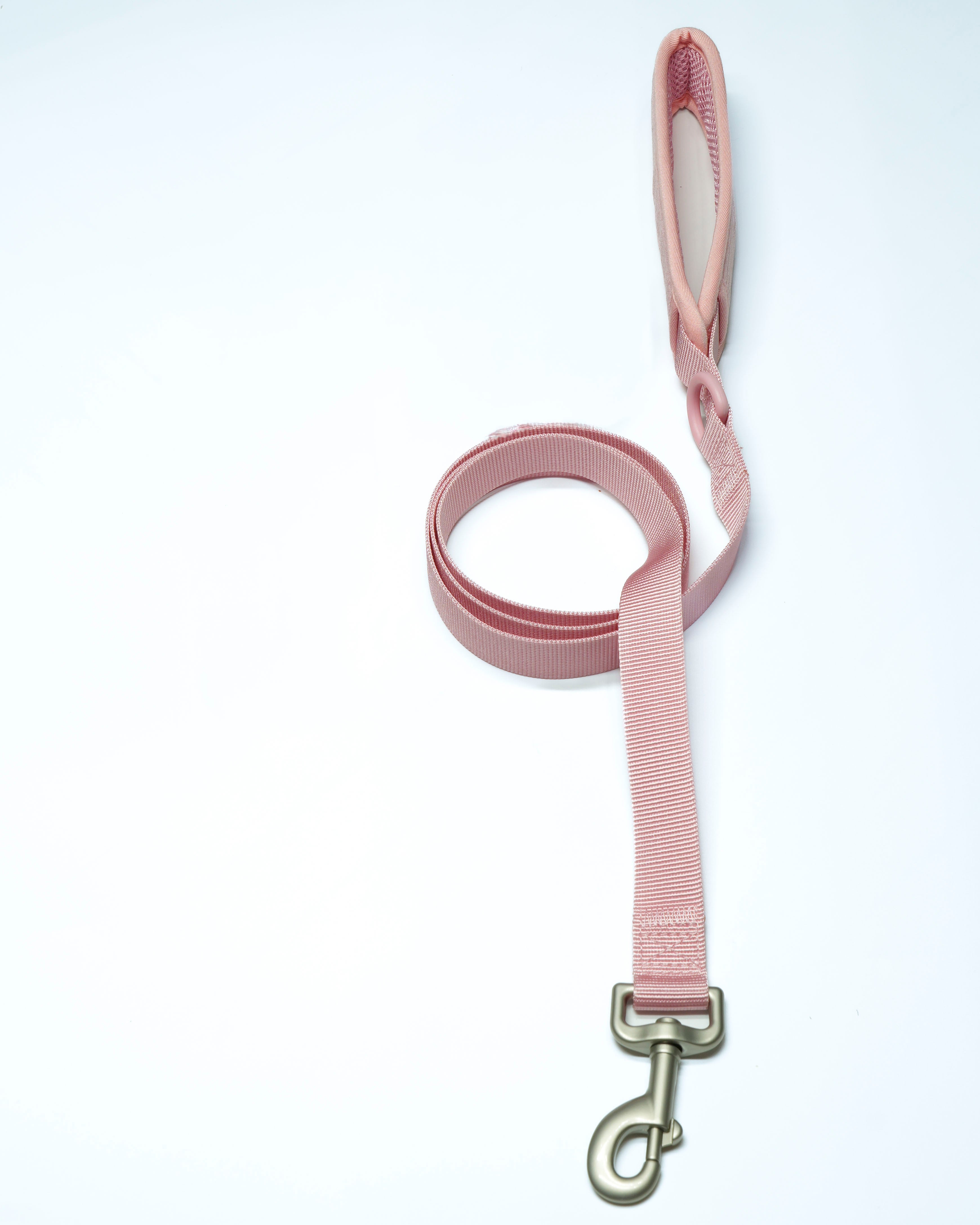 Rose Cordélia Leine