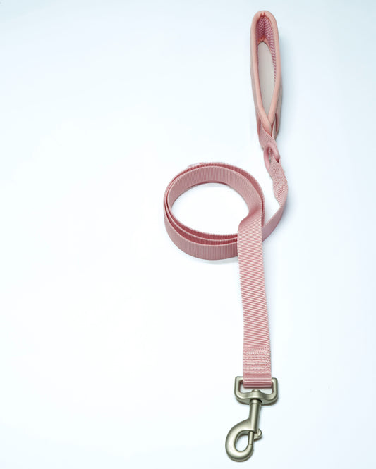 Rose Cordélia Leine