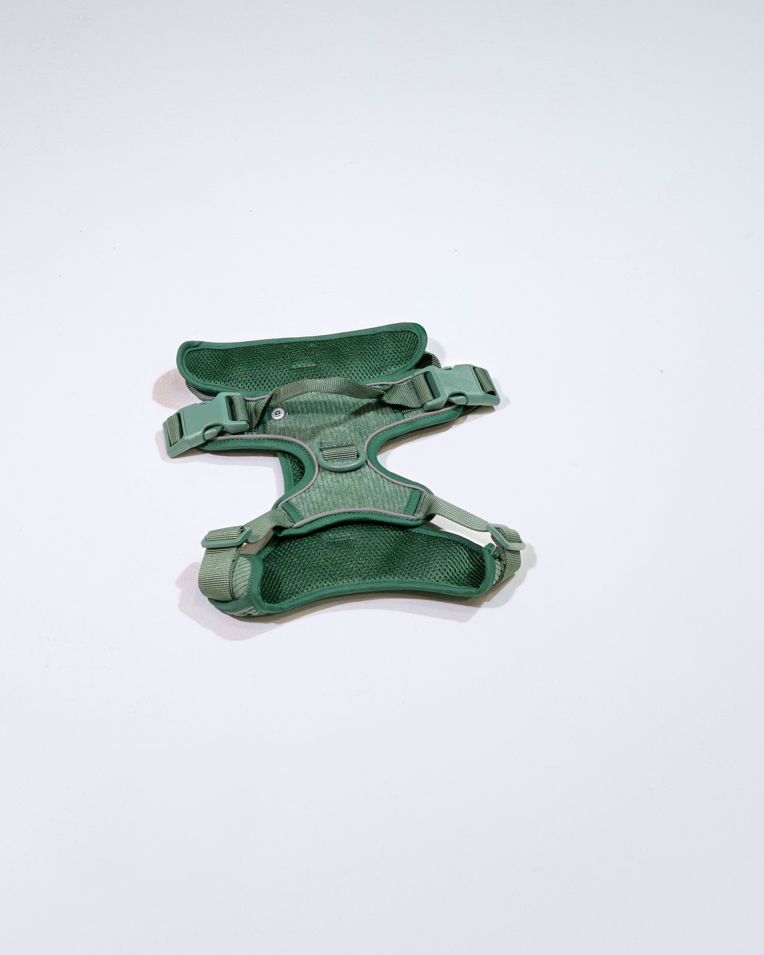 Tannenzauber Cordélia Geschirr