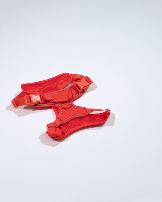 Berry Cordélia Geschirr