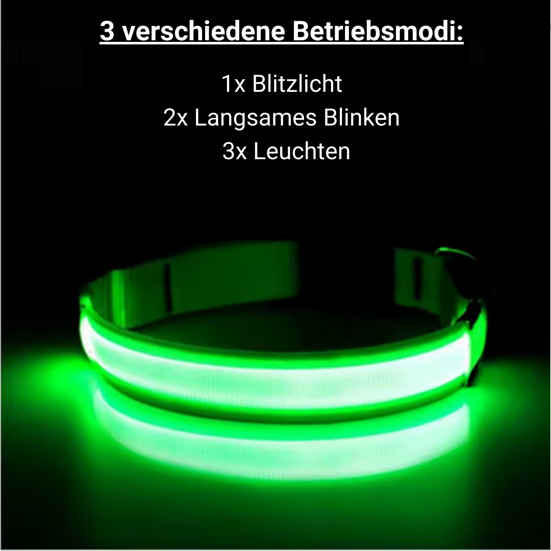 Black Friday Angebot