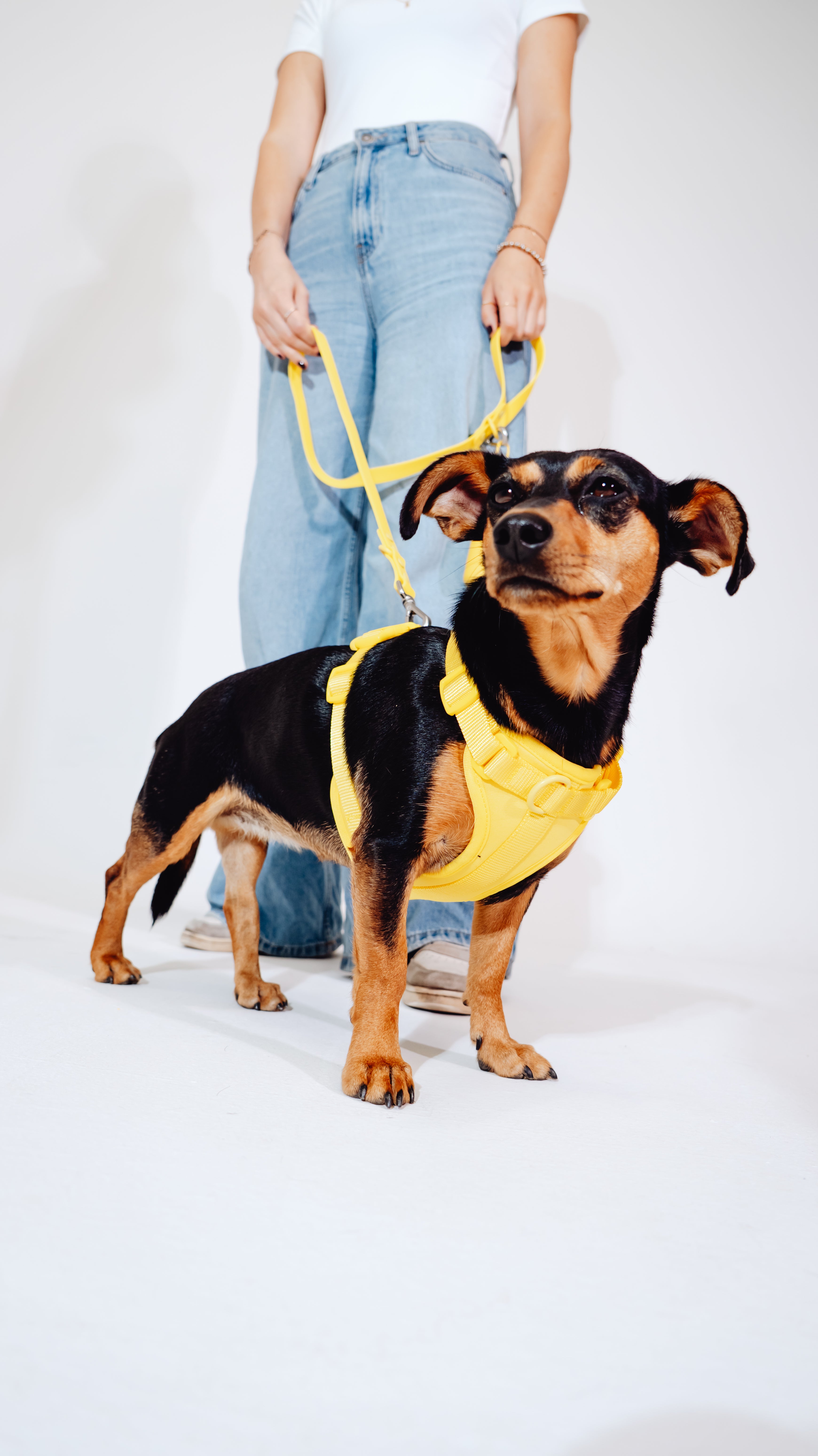 Sunny Soul Velvy Geschirr