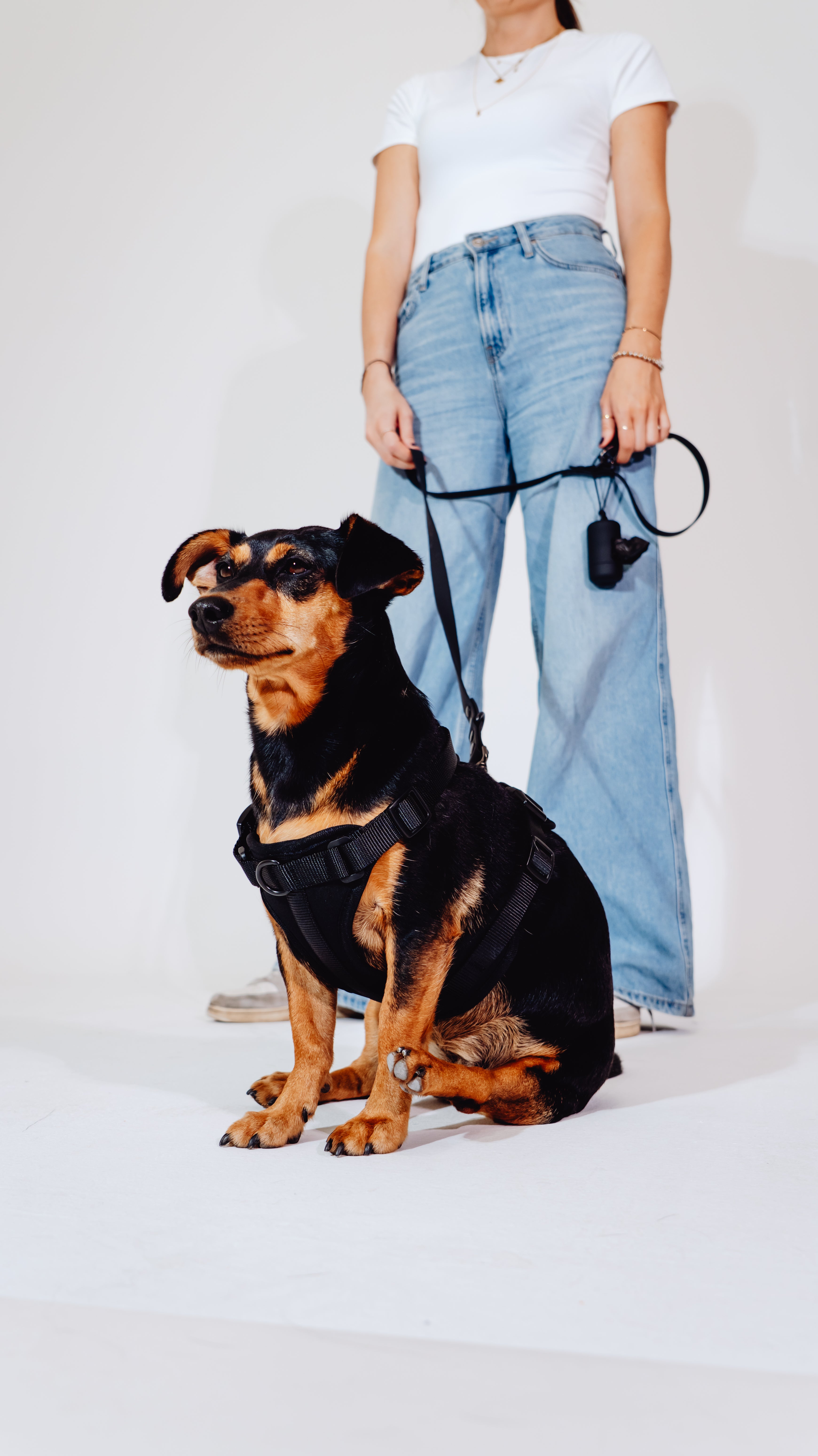 Midnight Velvy Geschirr