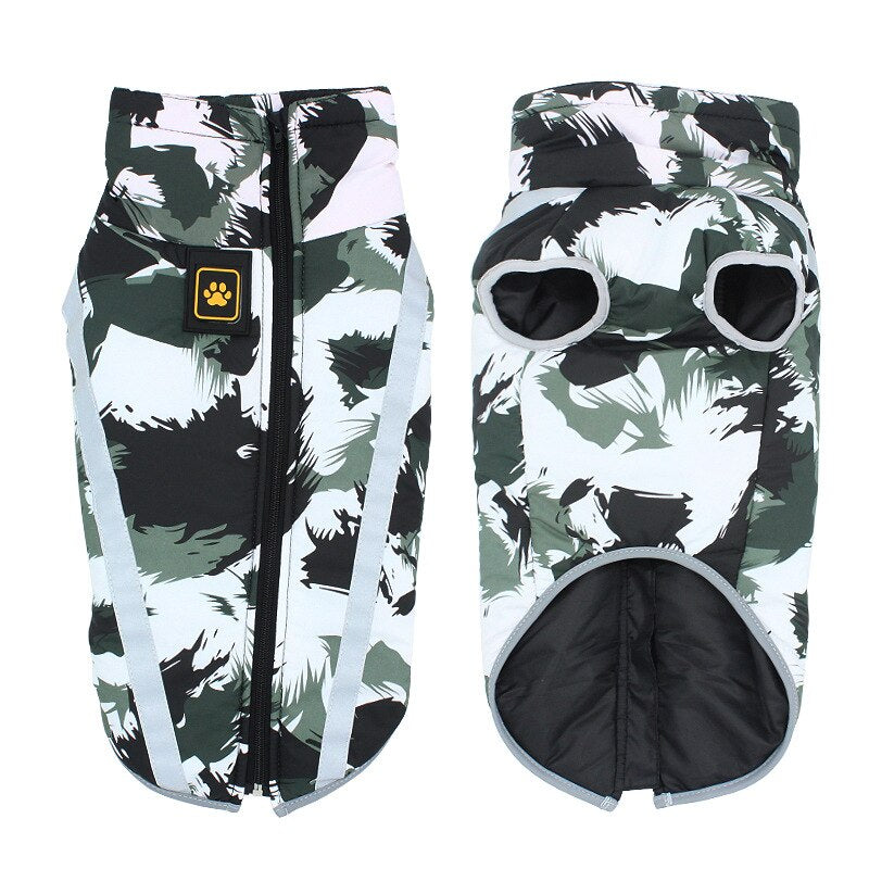 Black Friday Angebot